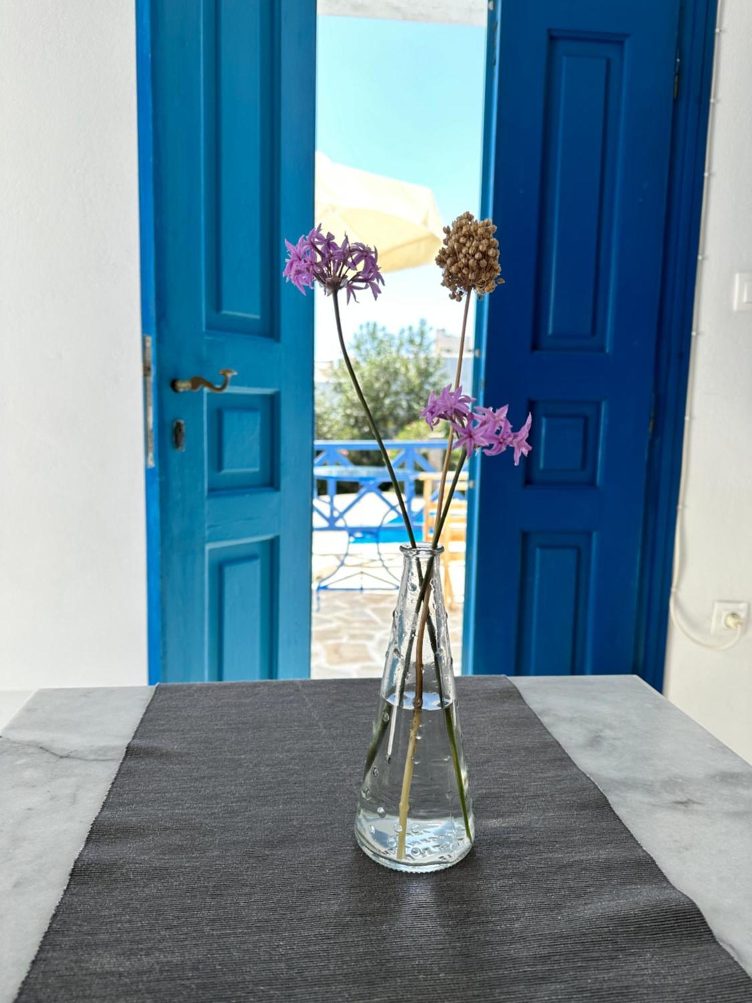 Iliopetra Studios Chrisi Akti  Exteriör bild