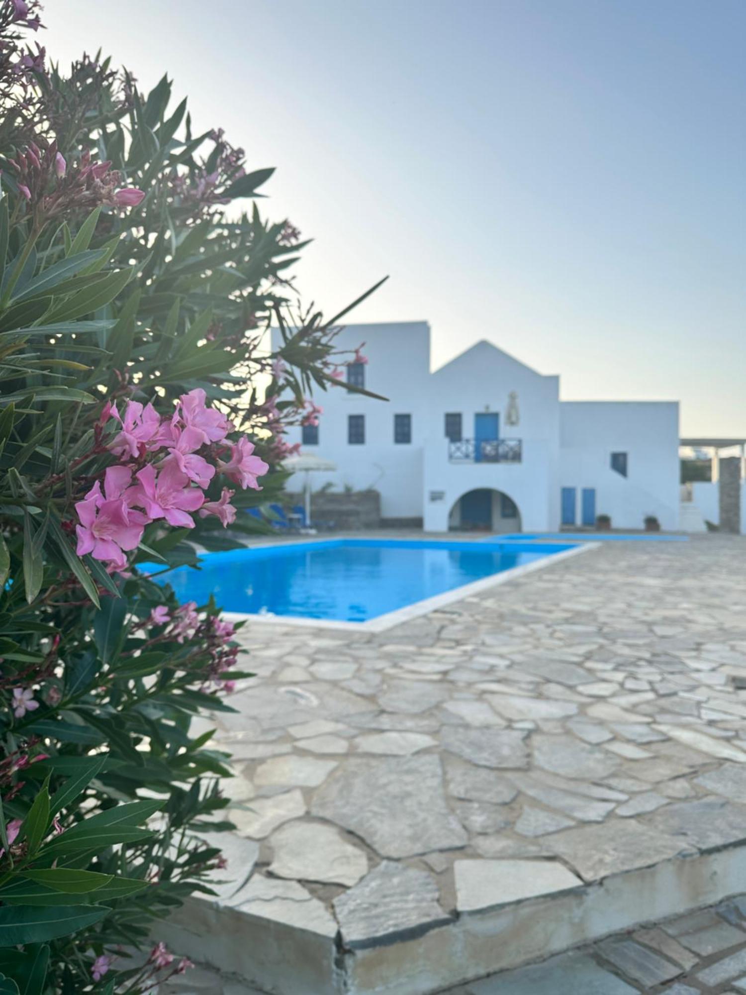 Iliopetra Studios Chrisi Akti  Exteriör bild