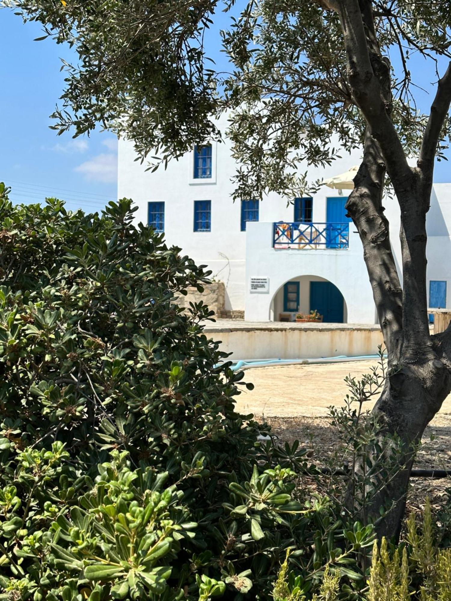 Iliopetra Studios Chrisi Akti  Exteriör bild